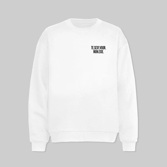 Te Sexy Voor Mijn Exie Sweater