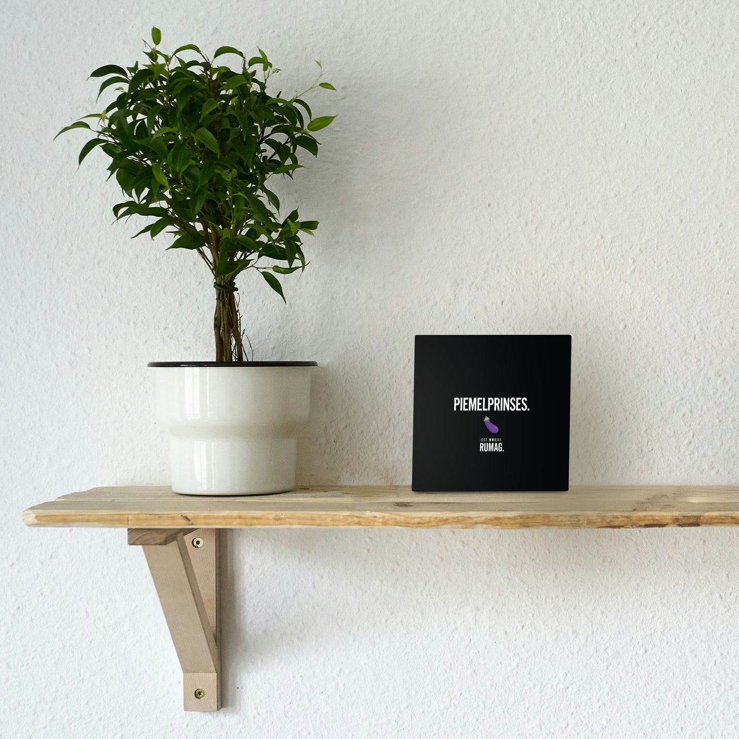 RUMAG Tegel - Piemelprinses