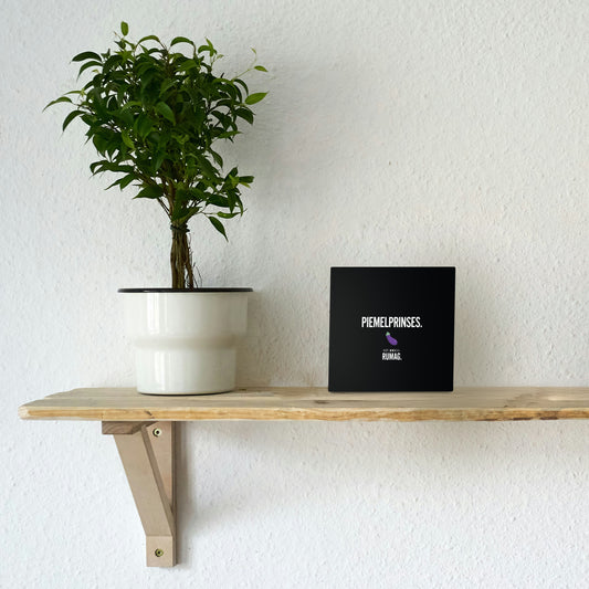 RUMAG Tegel - Piemelprinses